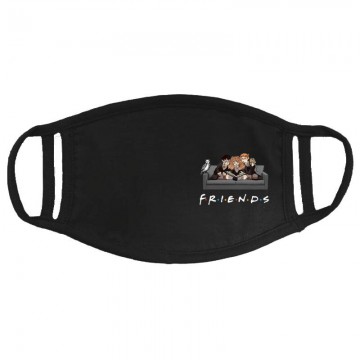 Friends(HP) Arcmaszk