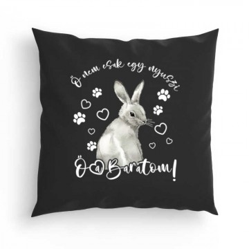 Nem csak egy nyuszi Párna