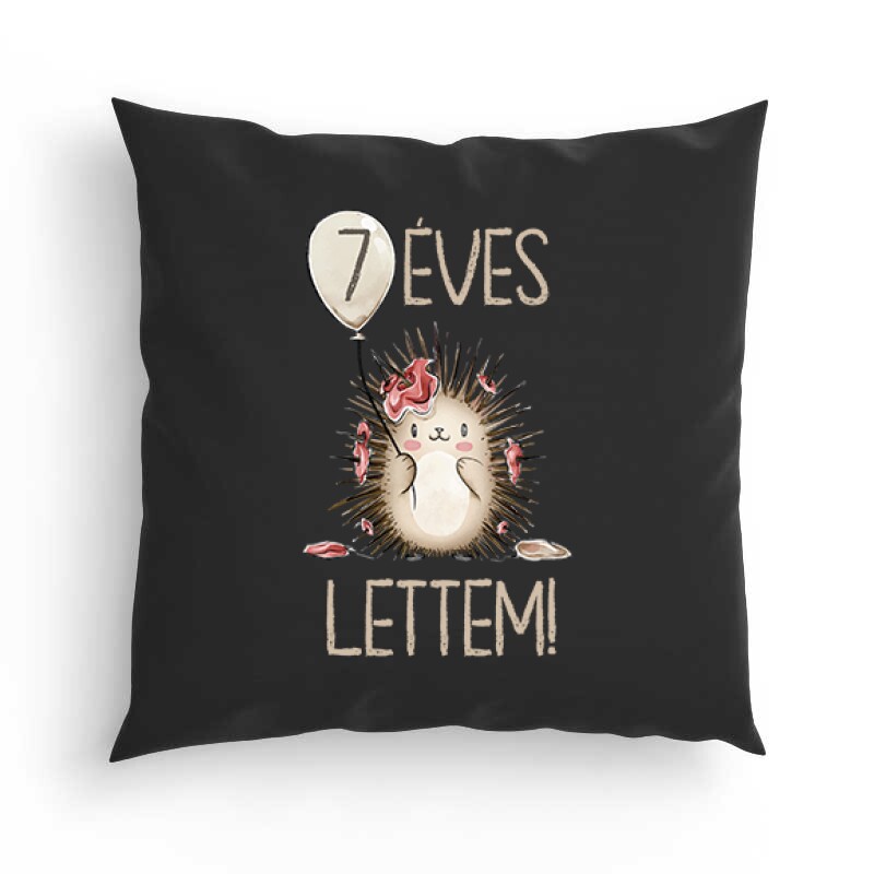 7 Éves Lettem Párna