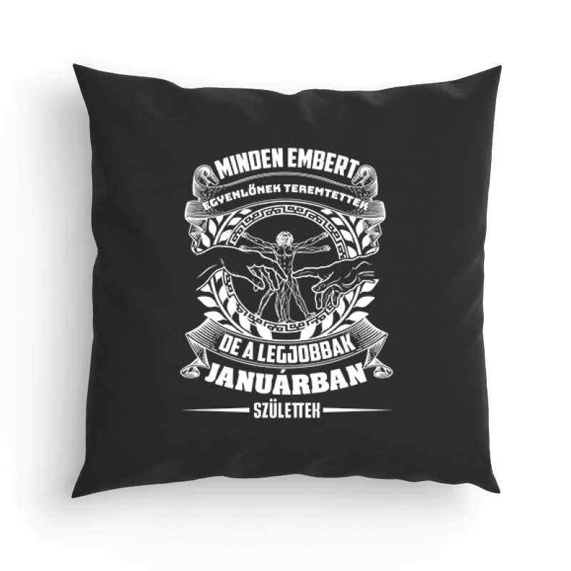 A Legjobbak Januárban (DaVinci) Párna