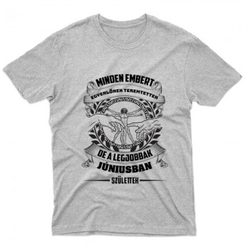 A Legjobbak Júniusban (DaVinci) Férfi póló