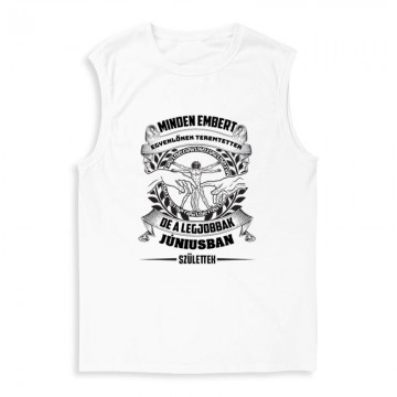 A Legjobbak Júniusban (DaVinci) Férfi Trikó