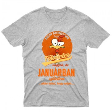 Januárban Születtem (Tökéletes) Férfi póló