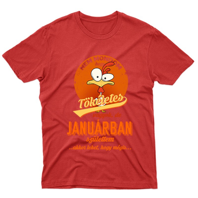 Januárban Születtem (Tökéletes) Férfi póló