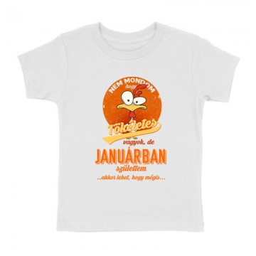 Januárban Születtem (Tökéletes) Gyermek póló
