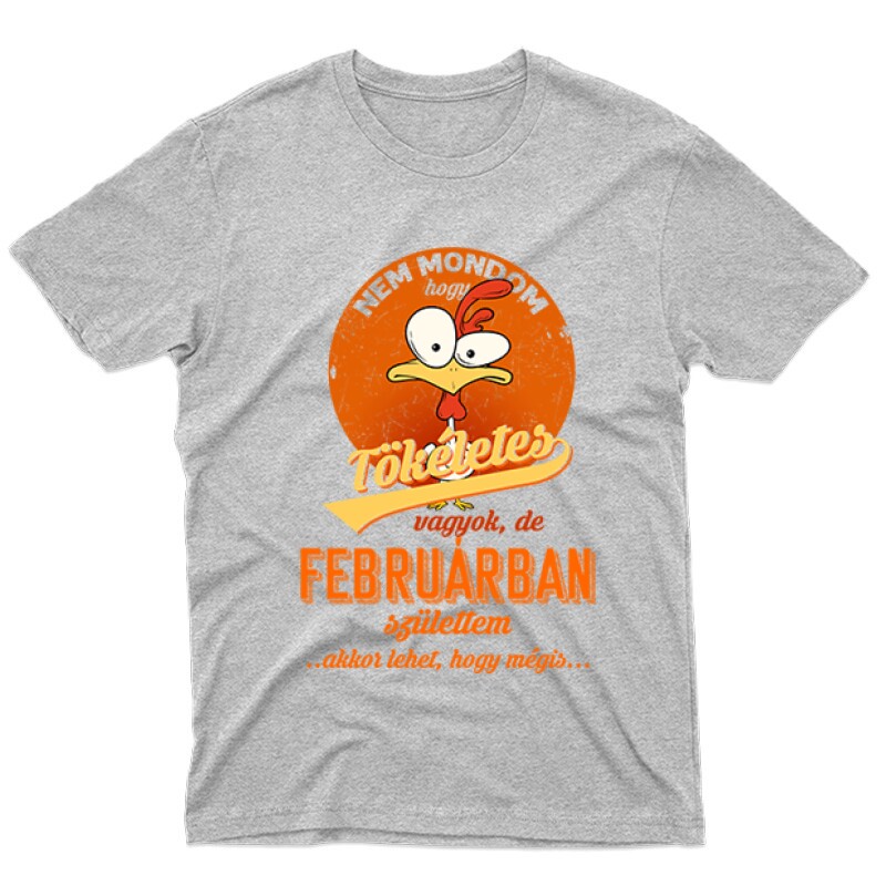 Februárban Születtem (Tökéletes) Férfi póló