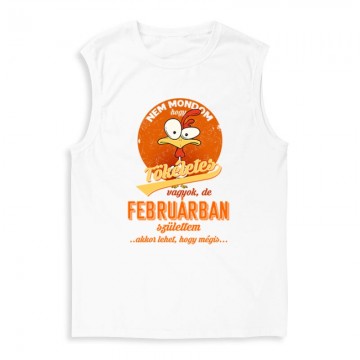 Februárban Születtem (Tökéletes) Férfi Trikó