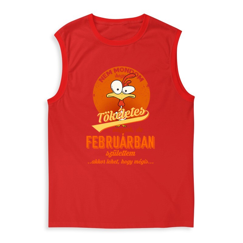 Februárban Születtem (Tökéletes) Férfi Trikó