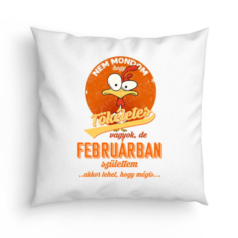 Februárban Születtem (Tökéletes) Párna