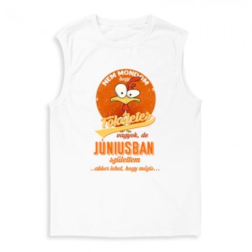 Júniusban Születtem (Tökéletes) Férfi Trikó