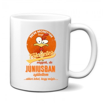 Júniusban Születtem (Tökéletes) Bögre