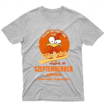 Szeptemberben Születtem (Tökéletes) Férfi póló