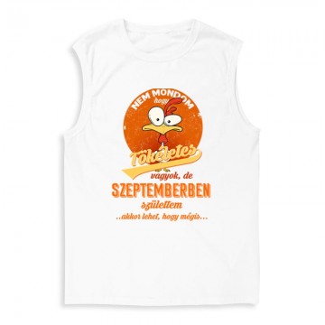 Szeptemberben Születtem (Tökéletes) Férfi Trikó