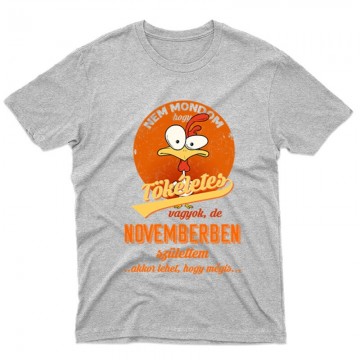 Novemberben Születtem (Tökéletes) Férfi póló