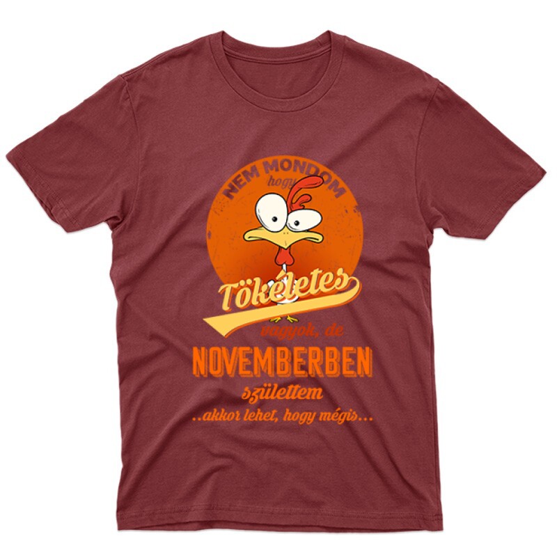 Novemberben Születtem (Tökéletes) Férfi póló