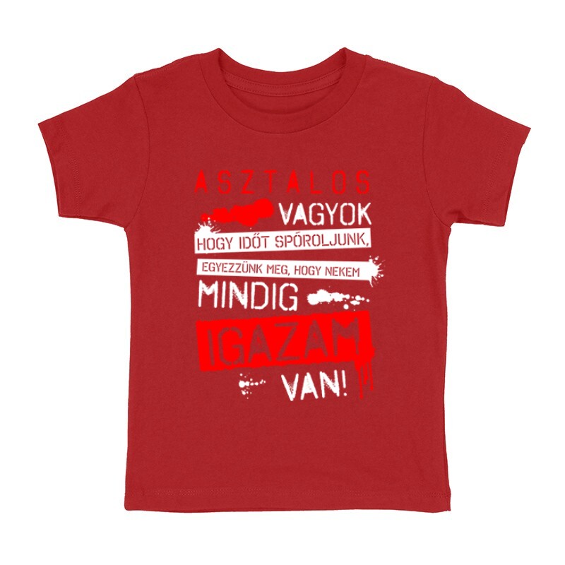 Asztalos vagyok igazam van Gyermek póló