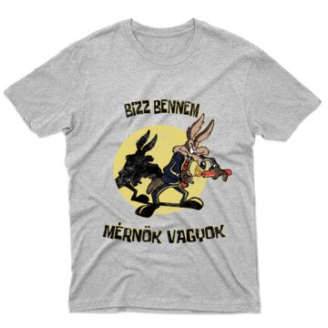 Bízz bennem, mérnök vagyok...