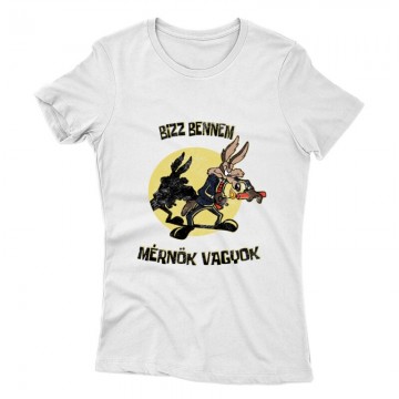 Bízz bennem, mérnök vagyok...