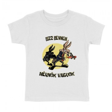 Bízz bennem, mérnök vagyok...