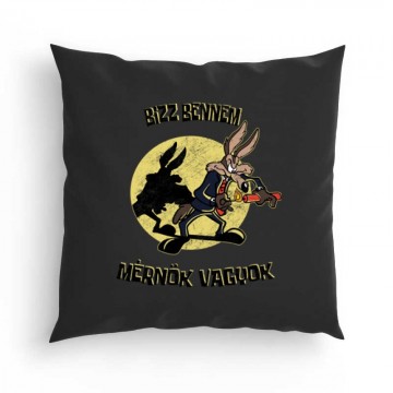 Bízz bennem, mérnök vagyok...