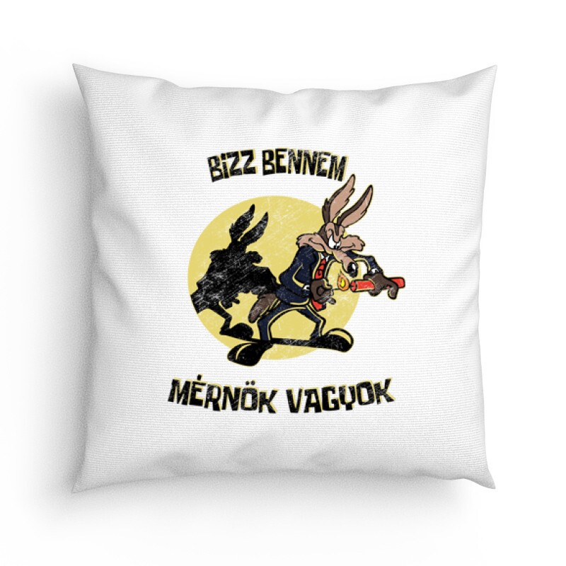 Bízz bennem, mérnök vagyok Párna