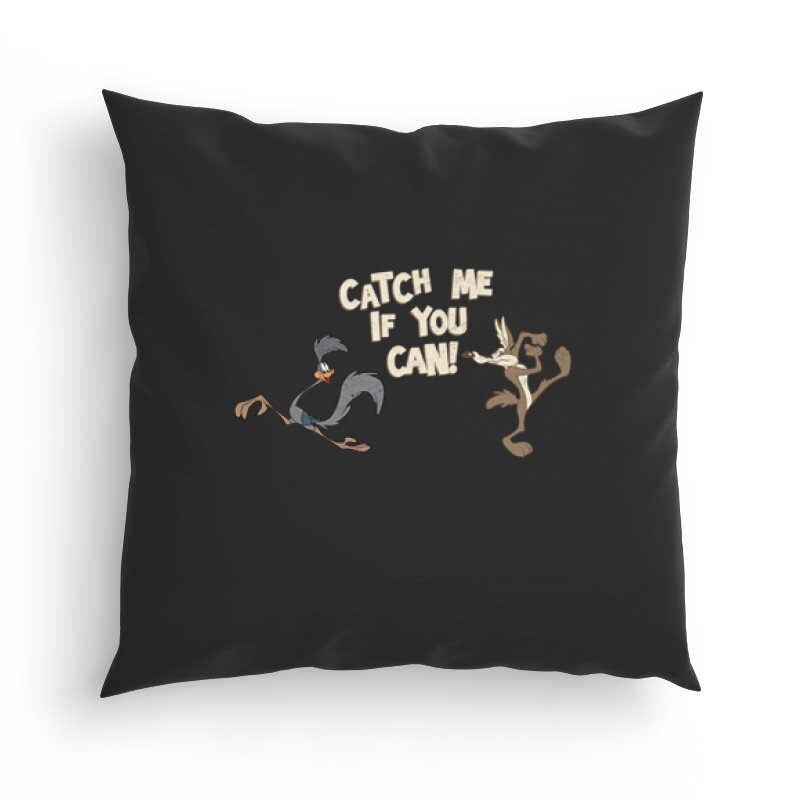 Catch Me If You can ! Párna