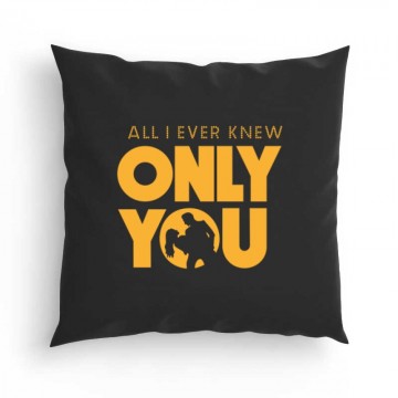 All I Ever Knew Only You Párna