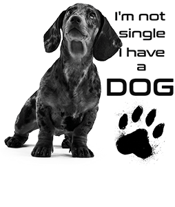 I'm Not Single (tacsi)