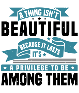 A thing isn’t beautiful