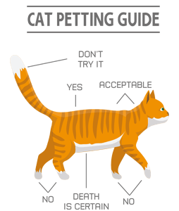 Cat petting guide