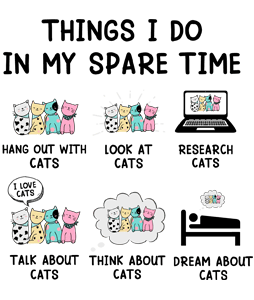 Things i do in my spare time