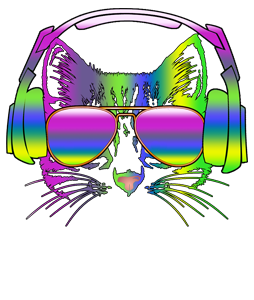 Rainbow music  cat