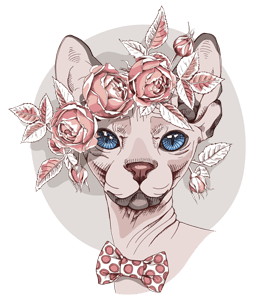 Lady sphynx