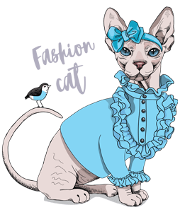 Fashion cat