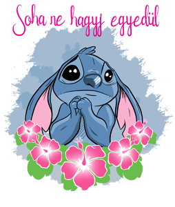 Soha ne hagyj egyedül