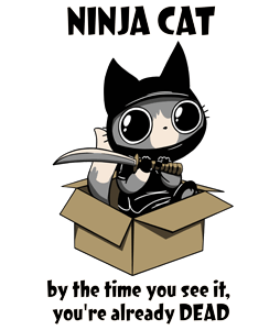 Ninja Cat