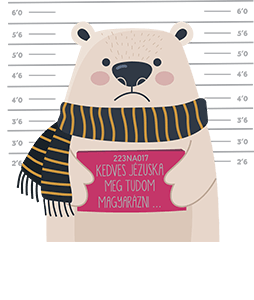 Meg Tudom Magyarázni