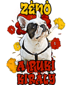 Comic Pet Saját Fényképes