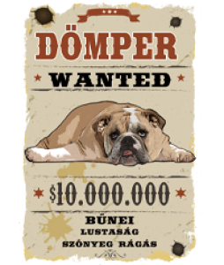 Wanted Saját Fényképes