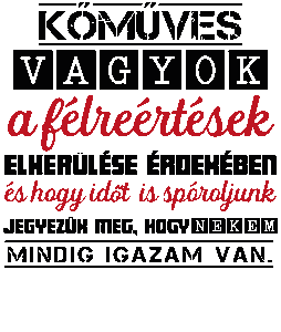 Kőműves vagyok mindig igazam van 2