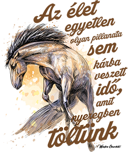 Az élet egyetlen pillanata sem