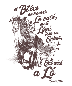 Bölcs embernek ló való