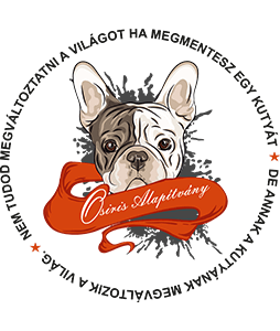 Megmentesz egy kutyát