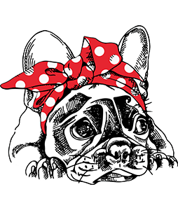 Frenchie Bow