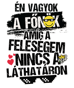 Én vagyok a főnök