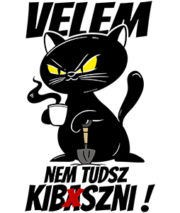 Velem nem tudsz kib*szni