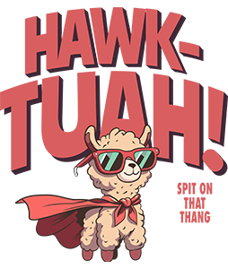 Hawk Tuah Llama