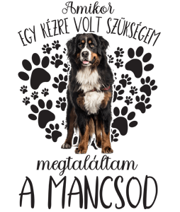 Megtaláltam a mancsod (Berni pásztor)