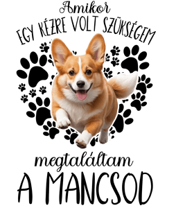 Megtaláltam a mancsod (Corgi)