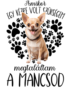 Megtaláltam a mancsod Csivava